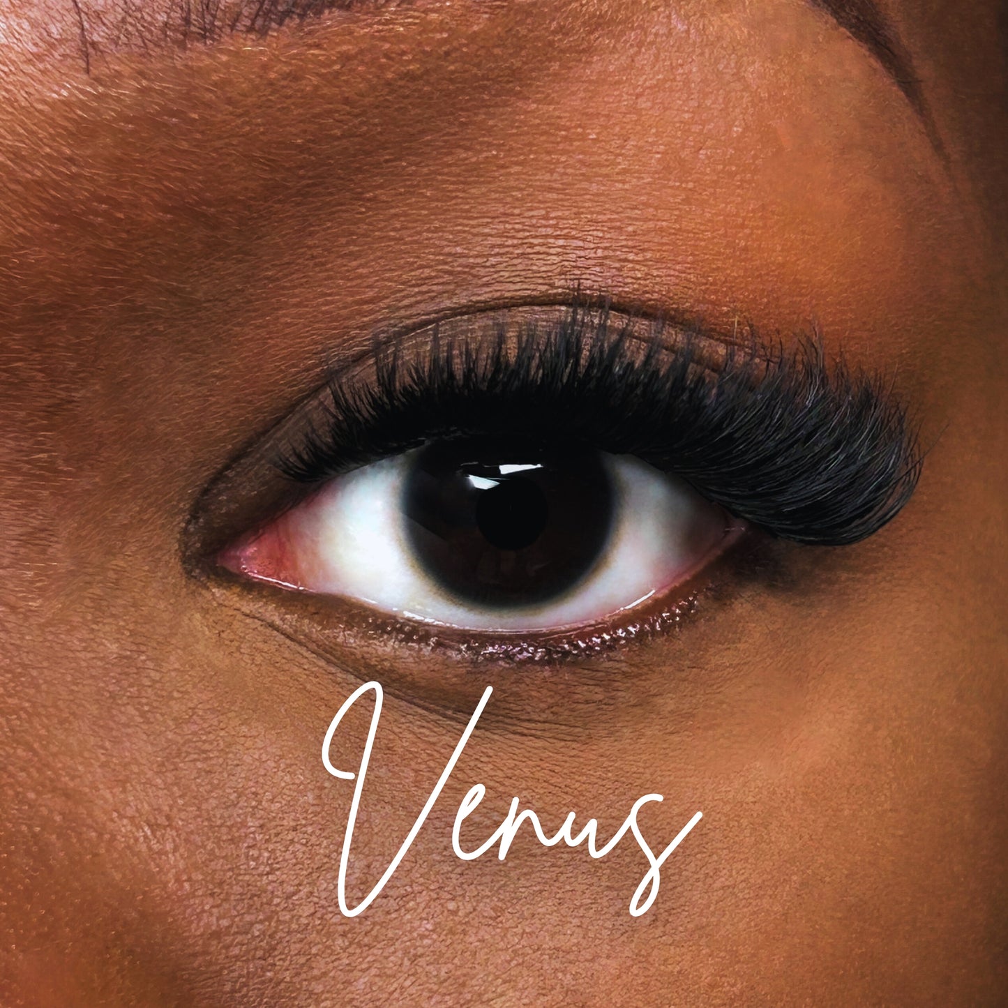 Volume Lash Kit